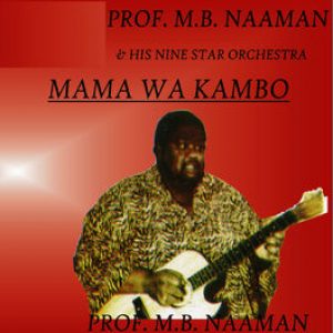 Prof M. B Naaman